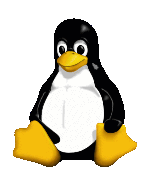 Sitting Penguin